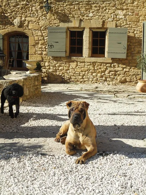 Mas La Renaissance Bed & Breakfast Robion en Luberon