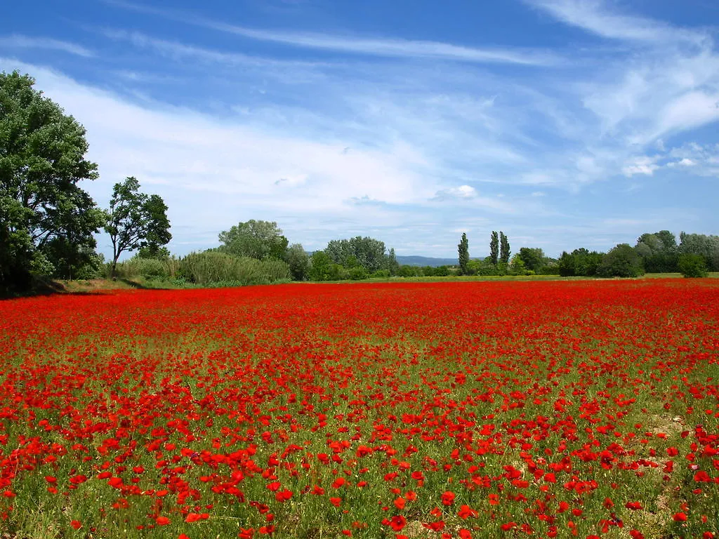 Mas La Renaissance Bed & Breakfast Robion en Luberon